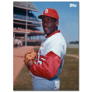 Bob Gibson Player Portrait Poster #2-21.5 x 29.5- artpp-bg02-130075-l
