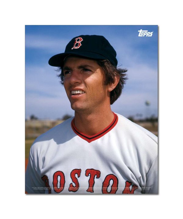 Bill Lee Player Portrait Poster #1-11 x 14- artpp-bl01-130403-s