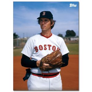 Bill Lee Player Portrait Poster #2-21.5 x 29.5- artpp-bl02-130404-l
