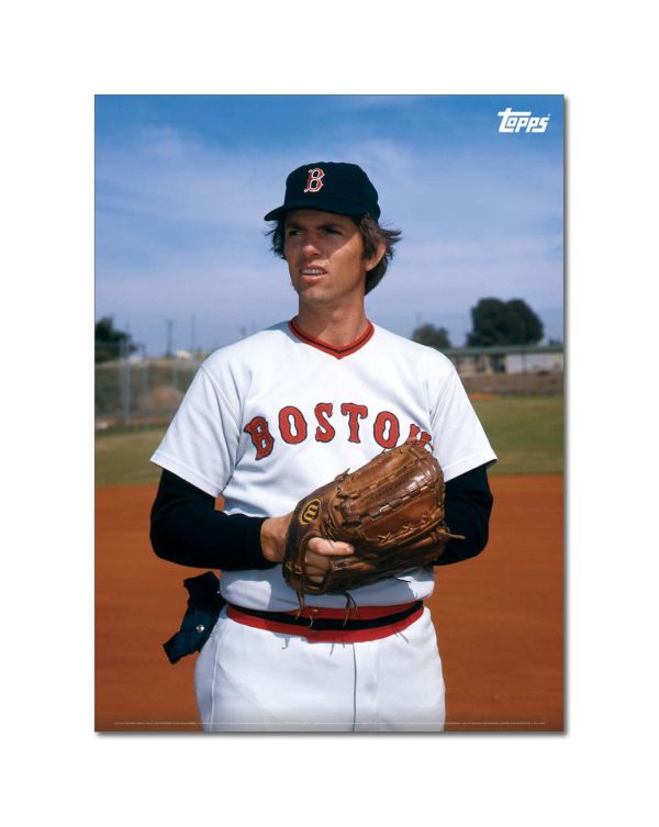 Bill Lee Player Portrait Poster #2-21.5 x 29.5- artpp-bl02-130404-l