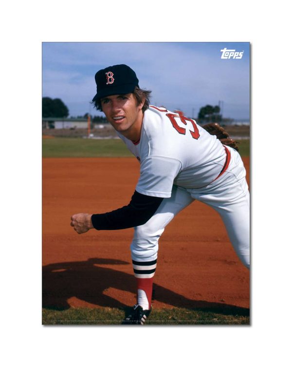 Bill Lee Player Portrait Poster #3-21.5 x 29.5- artpp-bl03-130405-l