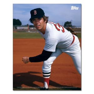 Bill Lee Player Portrait Poster #3-11 x 14- artpp-bl03-130405-s