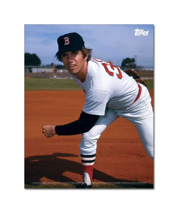 Bill Lee Player Portrait Poster #3-11 x 14- artpp-bl03-130405-s