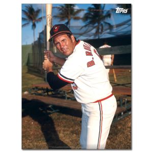 Brooks Robinson Player Portrait Poster #2-18 x 24- artpp-br02-130149-m
