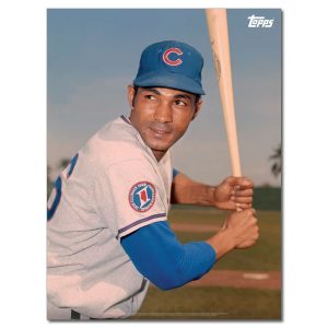 Billy Williams Player Portrait Poster #1-18 x 24- artpp-bw01-130188-m