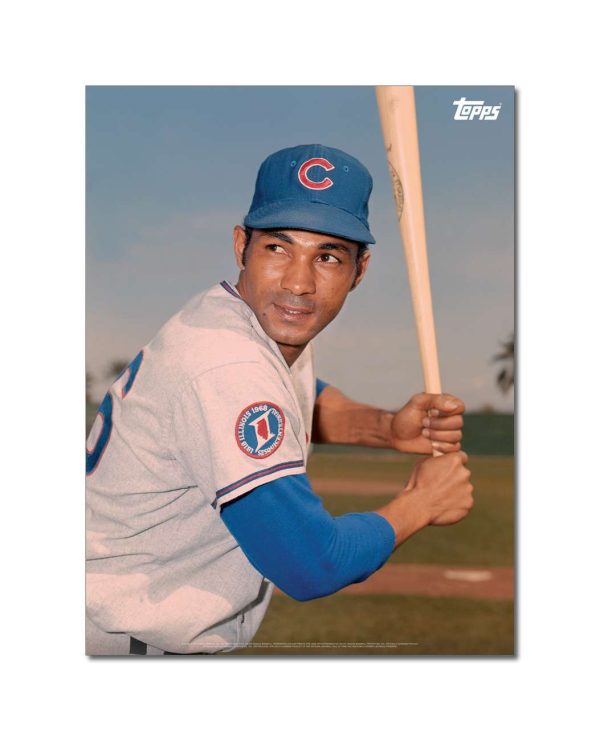 Billy Williams Player Portrait Poster #1-18 x 24- artpp-bw01-130188-m