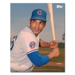 Billy Williams Player Portrait Poster #1-11 x 14- artpp-bw01-130188-s