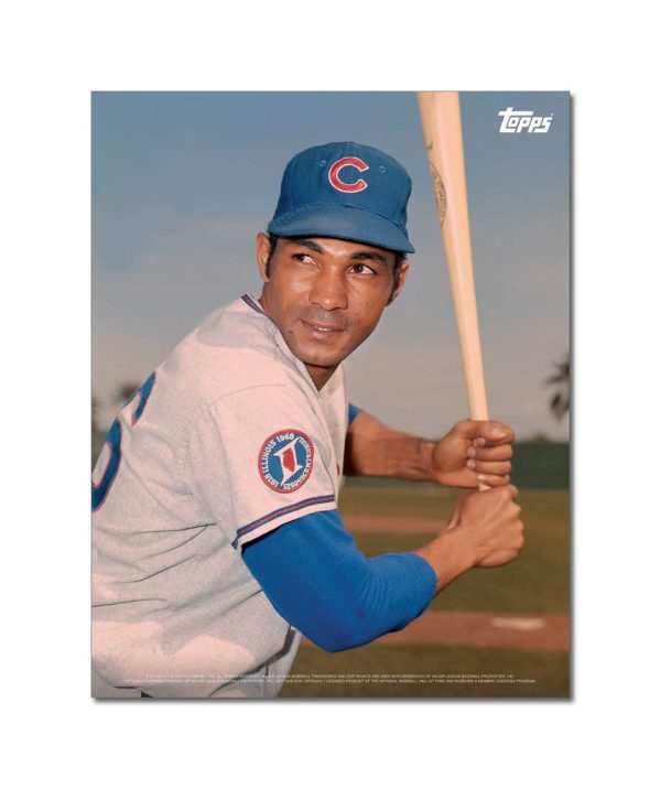 Billy Williams Player Portrait Poster #1-11 x 14- artpp-bw01-130188-s