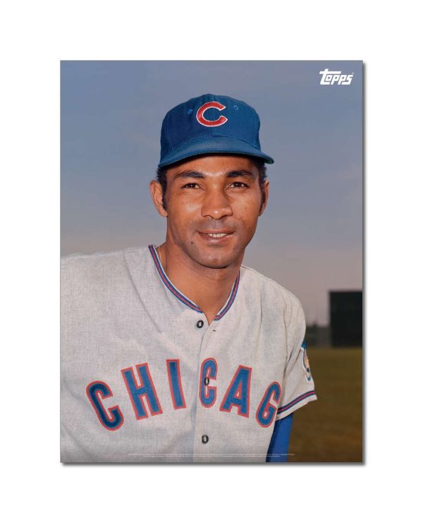 Billy Williams Player Portrait Poster #2-18 x 24- artpp-bw02-130189-m