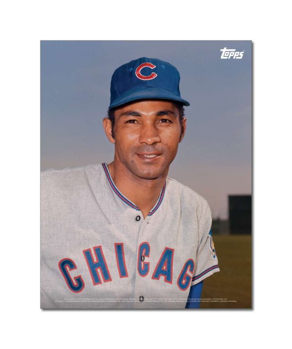 Billy Williams Player Portrait Poster #2-11 x 14- artpp-bw02-130189-s