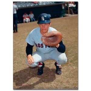 Carlton Fisk Player Portrait Poster #1-21.5 x 29.5- artpp-cf01-130064-l