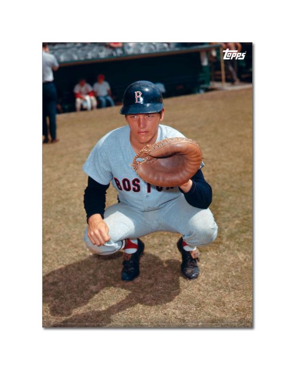 Carlton Fisk Player Portrait Poster #1-21.5 x 29.5- artpp-cf01-130064-l