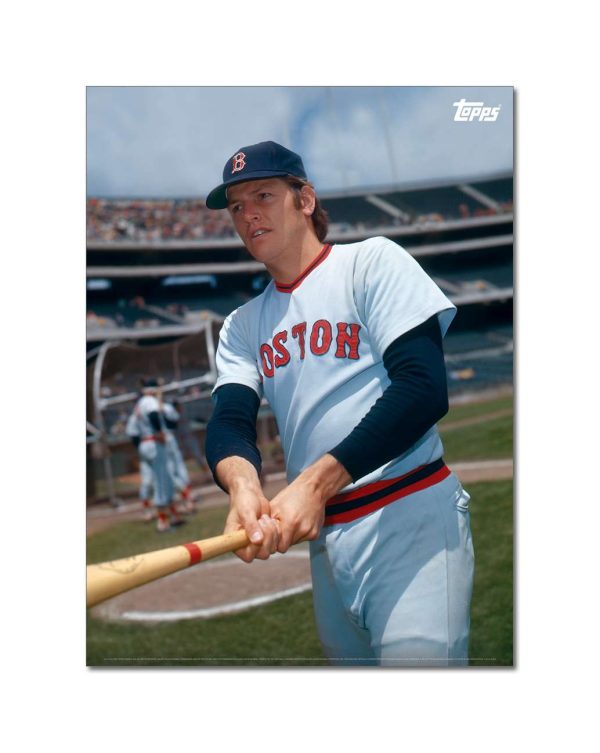 Carlton Fisk Player Portrait Poster #2-21.5 x 29.5- artpp-cf02-130065-l