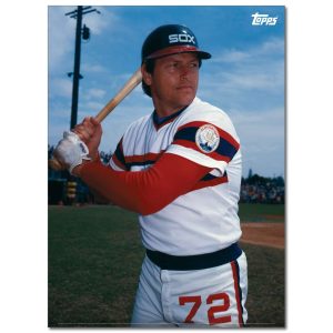 Carlton Fisk Player Portrait Poster #3-21.5 x 29.5- artpp-cf03-130066-l