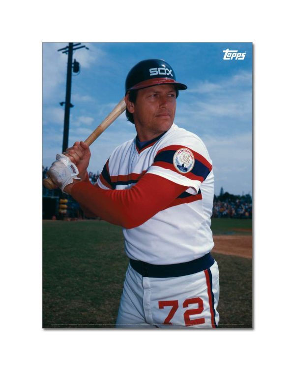 Carlton Fisk Player Portrait Poster #3-21.5 x 29.5- artpp-cf03-130066-l