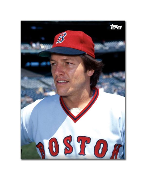 Carlton Fisk Player Portrait Poster #4-18 x 24- artpp-cf04-130330-m