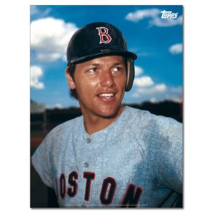 Carlton Fisk Player Portrait Poster #5-18 x 24- artpp-cf05-130331-m