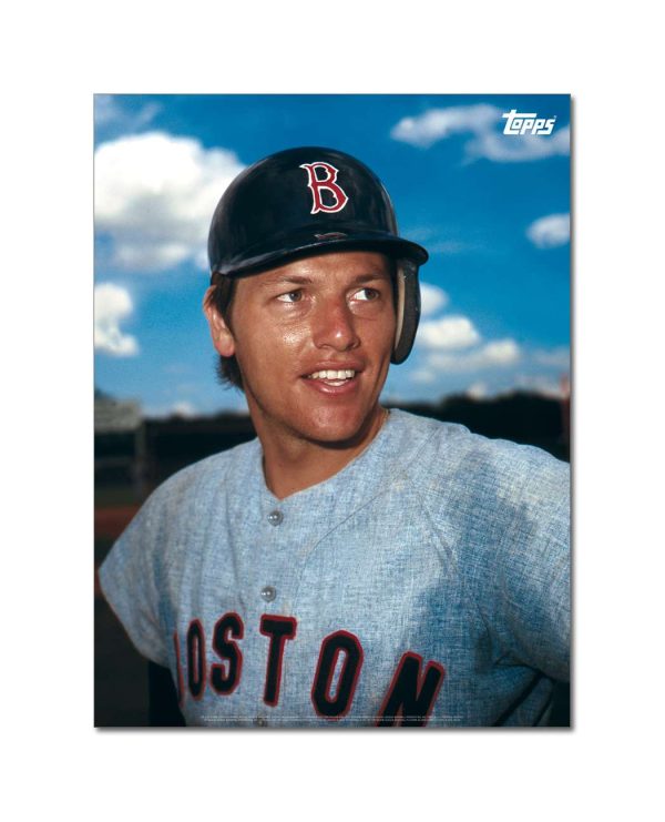 Carlton Fisk Player Portrait Poster #5-18 x 24- artpp-cf05-130331-m