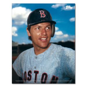 Carlton Fisk Player Portrait Poster #5-11 x 14- artpp-cf05-130331-s