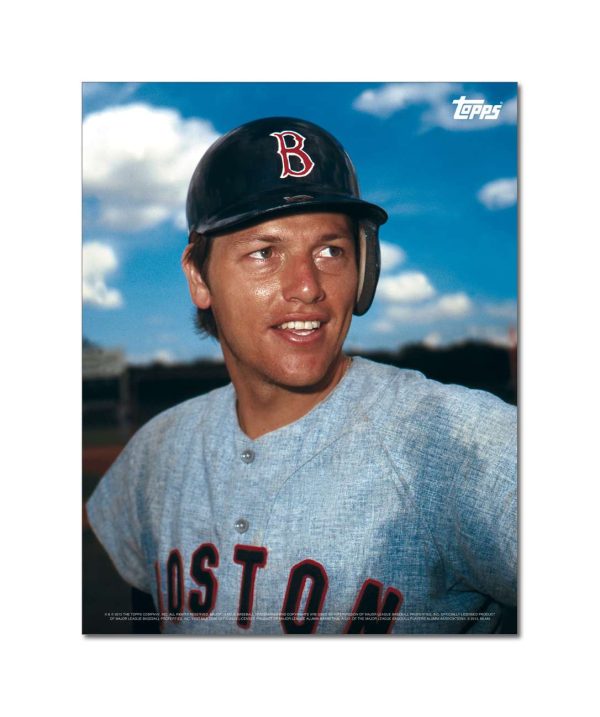 Carlton Fisk Player Portrait Poster #5-11 x 14- artpp-cf05-130331-s