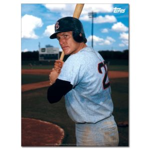 Carlton Fisk Player Portrait Poster #6-18 x 24- artpp-cf06-130332-m