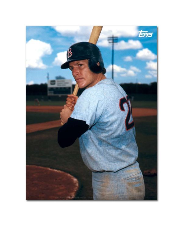 Carlton Fisk Player Portrait Poster #6-18 x 24- artpp-cf06-130332-m