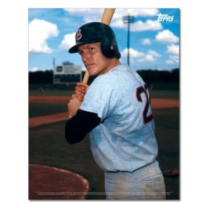 Carlton Fisk Player Portrait Poster #6-11 x 14- artpp-cf06-130332-s