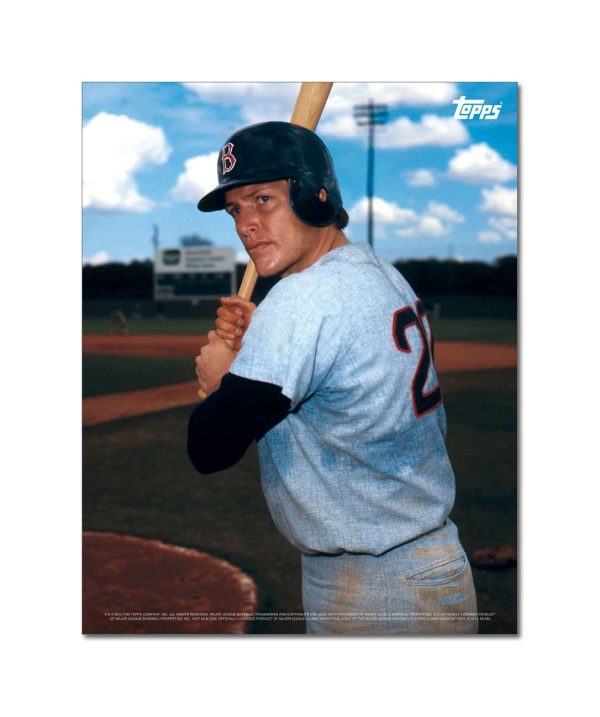 Carlton Fisk Player Portrait Poster #6-11 x 14- artpp-cf06-130332-s