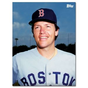 Carlton Fisk Player Portrait Poster #7-18 x 24- artpp-cf07-130333-m