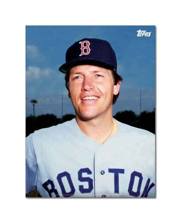 Carlton Fisk Player Portrait Poster #7-18 x 24- artpp-cf07-130333-m