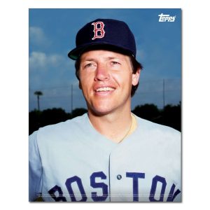 Carlton Fisk Player Portrait Poster #7-11 x 14- artpp-cf07-130333-s