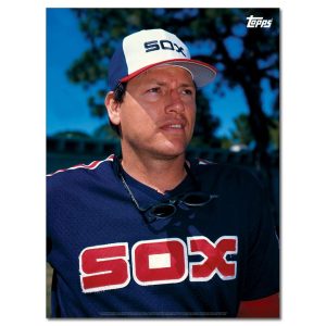 Carlton Fisk Player Portrait Poster #8-18 x 24- artpp-cf08-130334-m