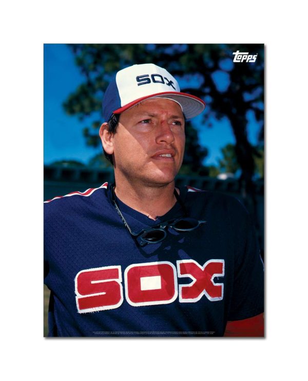 Carlton Fisk Player Portrait Poster #8-18 x 24- artpp-cf08-130334-m