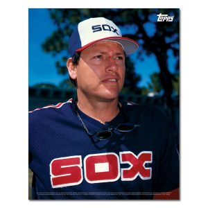 Carlton Fisk Player Portrait Poster #8-11 x 14- artpp-cf08-130334-s