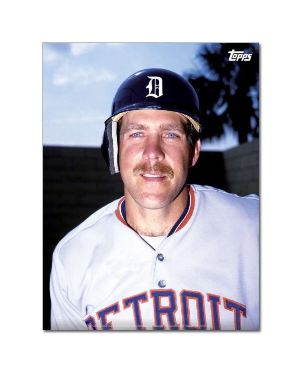 Dave Bergman Player Portrait Poster #6-18 x 24- artpp-db06-130227-m