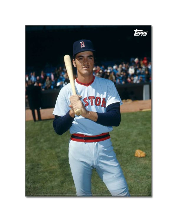 Dwight Evans Player Portrait Poster #1-21.5 x 29.5- artpp-de01-130058-l