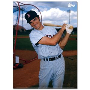Dwight Evans Player Portrait Poster #3-21.5 x 29.5- artpp-de03-130320-l
