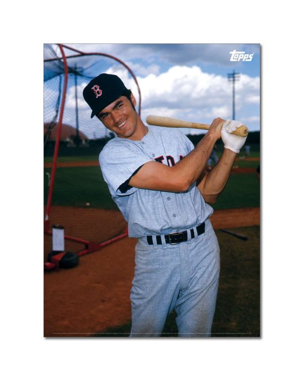 Dwight Evans Player Portrait Poster #3-21.5 x 29.5- artpp-de03-130320-l