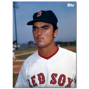 Dwight Evans Player Portrait Poster #5-21.5 x 29.5- artpp-de05-130322-l