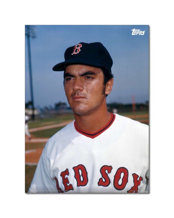 Dwight Evans Player Portrait Poster #5-21.5 x 29.5- artpp-de05-130322-l