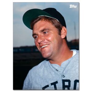 Denny McLain Player Portrait Poster #1-18 x 24- artpp-dm01-130440-m