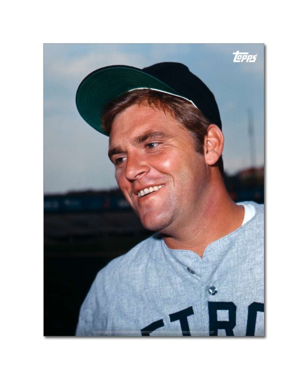 Denny McLain Player Portrait Poster #1-18 x 24- artpp-dm01-130440-m