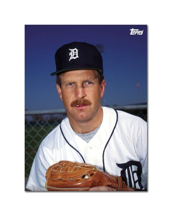 Dan Petry Player Portrait Poster #3-21.5 x 29.5- artpp-dp03-130477-l