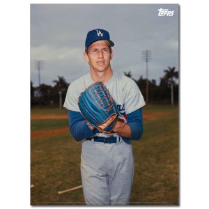 Don Sutton Player Portrait Poster #1-21.5 x 29.5- artpp-ds01-130184-l