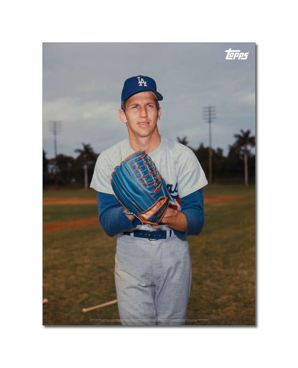 Don Sutton Player Portrait Poster #1-18 x 24- artpp-ds01-130184-m