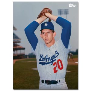 Don Sutton Player Portrait Poster #2-21.5 x 29.5- artpp-ds02-130185-l