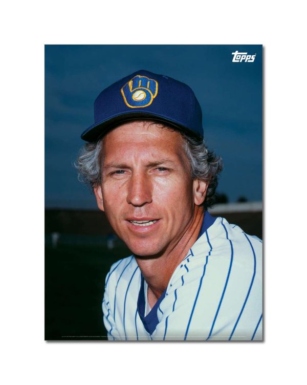 Don Sutton Player Portrait Poster #3-21.5 x 29.5- artpp-ds03-130186-l