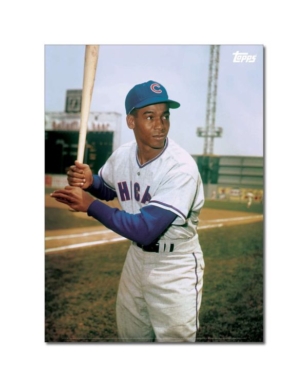 Ernie Banks Player Portrait Poster #4-21.5 x 29.5- artpp-eb04-130013-l