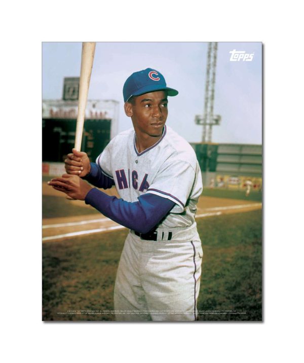 Ernie Banks Player Portrait Poster #4-11 x 14- artpp-eb04-130013-s