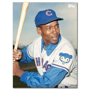 Ernie Banks Player Portrait Poster #5-18 x 24- artpp-eb05-130014-m